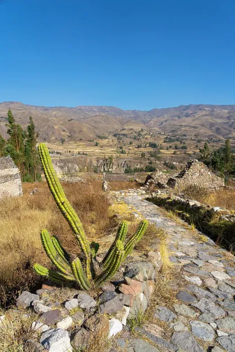 Framed Print : Cactus next to path and ancient houses at archaeological site Uyo Uyo near Yanque, Canyon Colca, Yanque District, Caylloma Province, Arequipa Region, Peru Framed Print : Cactus next to path and ancient houses at archaeological site Uyo Uyo near Yanque, Canyon Colca, Yanque District, Caylloma Province, Arequipa Region, Peru