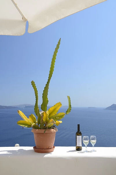 Cactus and white wine at the sea, Oia, Santorini, Kyclades, South Aegean, Greece, Europe