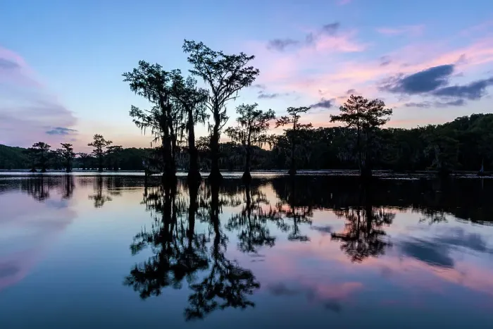 Framed Print : Caddo Lake, Texas, USA Framed Print : Caddo Lake, Texas, USA