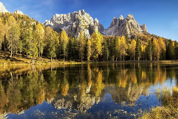The Cadinis Reflecting in Lake Antorno in Autumn, Dolomites, Italy