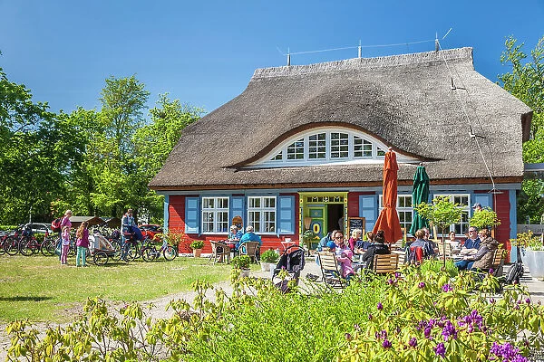 Cafe in historic thatched roof house in Prerow, Mecklenburg-West Pomerania, Baltic Sea, Northern Germany, Germany
