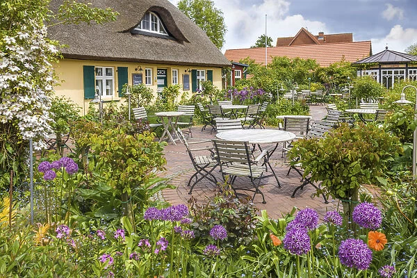 Cafe in an old thatched roof courtyard in Zingst, Mecklenburg-Western Pomerania