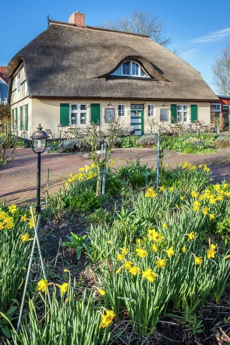 Framed Print : Cafe Rosengarten in historic thatched roof house in Zingst, Mecklenburg-West Pomerania, Baltic Sea, Northern Germany, Germany Framed Print : Cafe Rosengarten in historic thatched roof house in Zingst, Mecklenburg-West Pomerania, Baltic Sea, Northern Germany, Germany