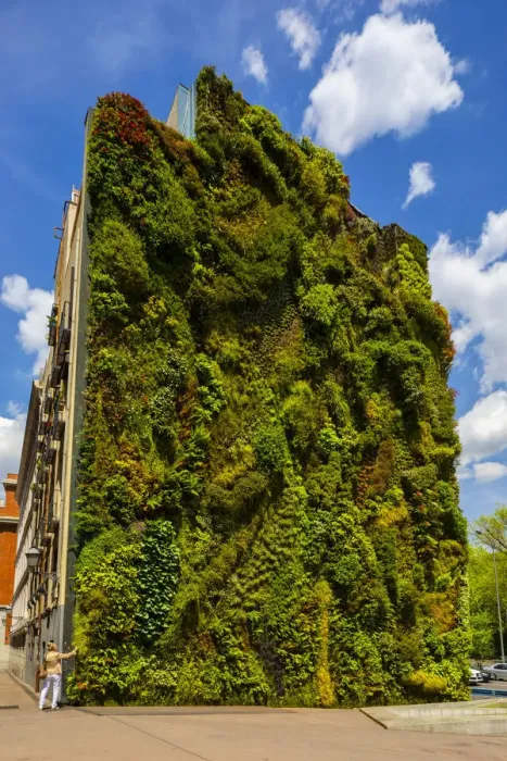 Framed Print : CaixaForum Vertical Garden, Madrid, Spain Framed Print : CaixaForum Vertical Garden, Madrid, Spain