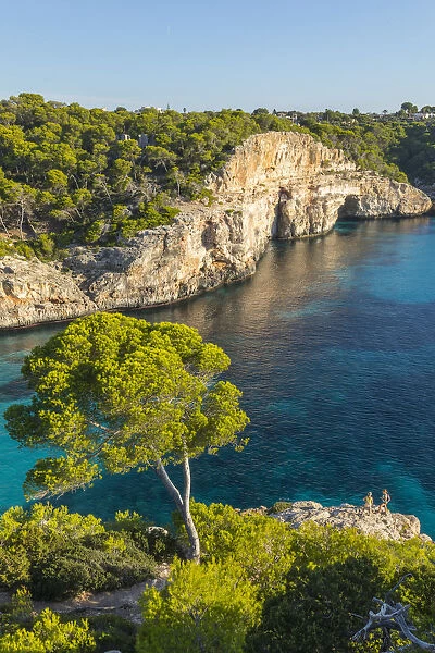 Calas Almunia, Mallorca (Majorca), Balearic Islands, Spain