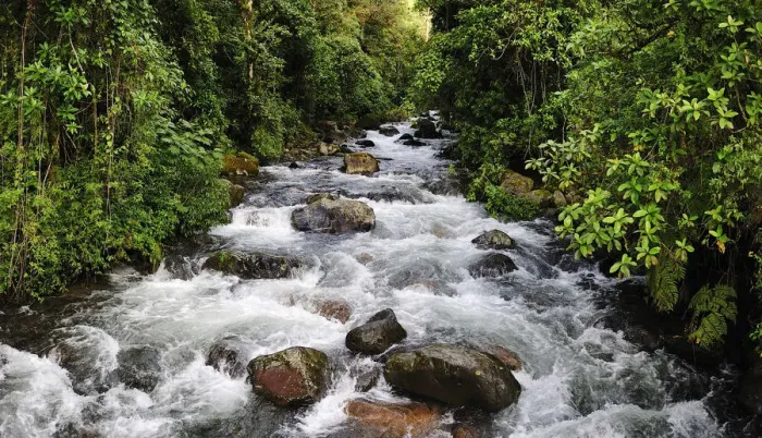 Framed Print : Caldera Creek rapids in Boquete, Panama, Central America Framed Print : Caldera Creek rapids in Boquete, Panama, Central America