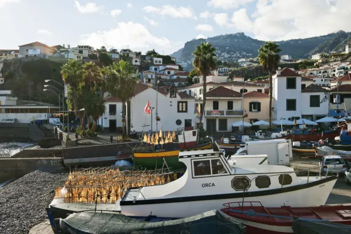 Framed Print : Camara de Lobos and the fishing port. Madeira Framed Print : Camara de Lobos and the fishing port. Madeira