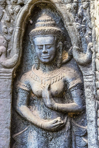 Cambodia, Siem Reap, Angkor Wat Complex (Unesco Site), Ta Prohm temple