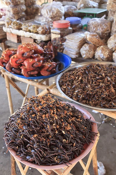 Cambodia, Skuon, Local Market, fried Insects for sales