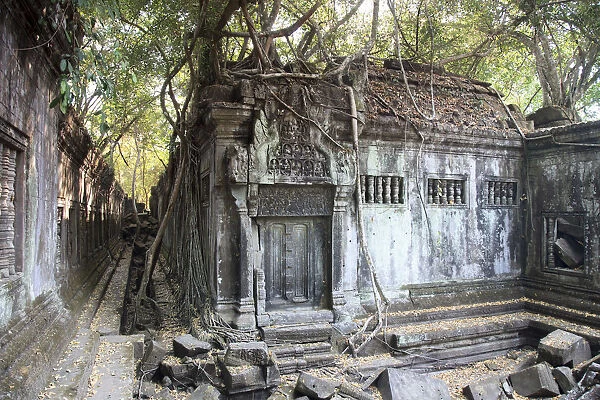 Cambodia, Temples of Angkor (UNESCO site), Beng Malea Temple