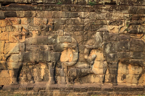 Cambodia, Temples of Angkor (UNESCO site), Angkor Thom, Elephant Terrace