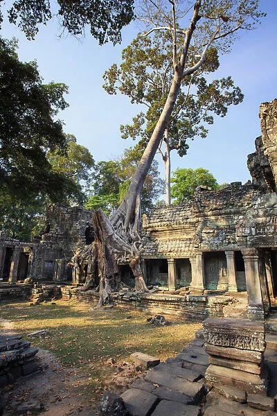 Cambodia, Temples of Angkor (UNESCO site), Preah Khan Temple