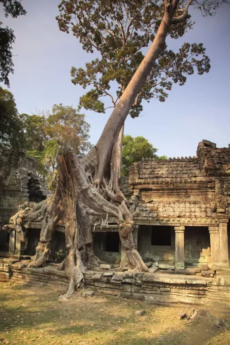 Framed Print : Cambodia, Temples of Angkor (UNESCO site), Preah Khan Temple Framed Print : Cambodia, Temples of Angkor (UNESCO site), Preah Khan Temple