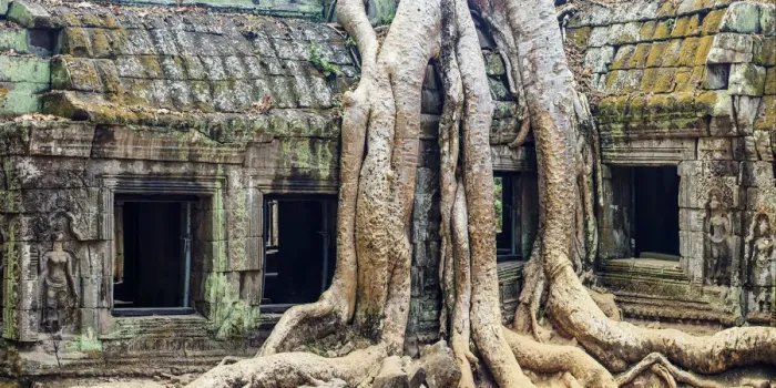 Framed Print : Cambodia, Temples of Angkor (UNESCO site), Ta Prohm Framed Print : Cambodia, Temples of Angkor (UNESCO site), Ta Prohm