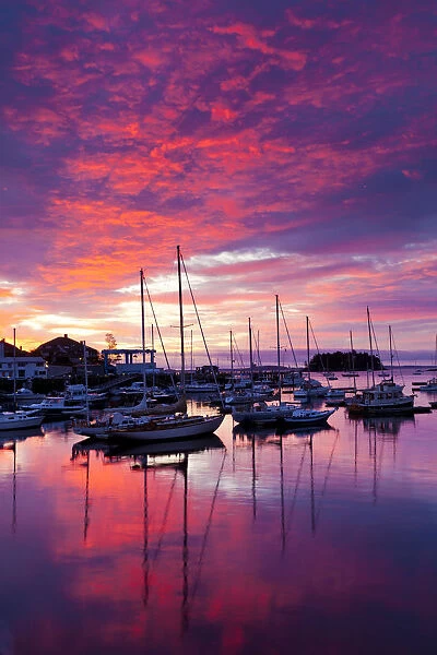 Camden Harbor at Sunrise, Maine, USA