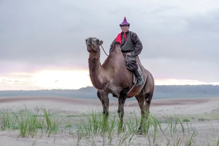 Framed Print : Camel herder on his camel, Khongor Dunes, Gobi Desert, Mongolia, Asia Framed Print : Camel herder on his camel, Khongor Dunes, Gobi Desert, Mongolia, Asia