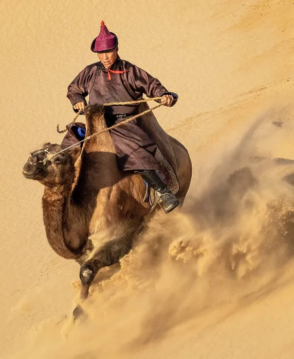 Framed Print : Camel herder riding his camel down a sand dune, Khongor Dunes, Gobi Desert, Mongolia, Asia Framed Print : Camel herder riding his camel down a sand dune, Khongor Dunes, Gobi Desert, Mongolia, Asia