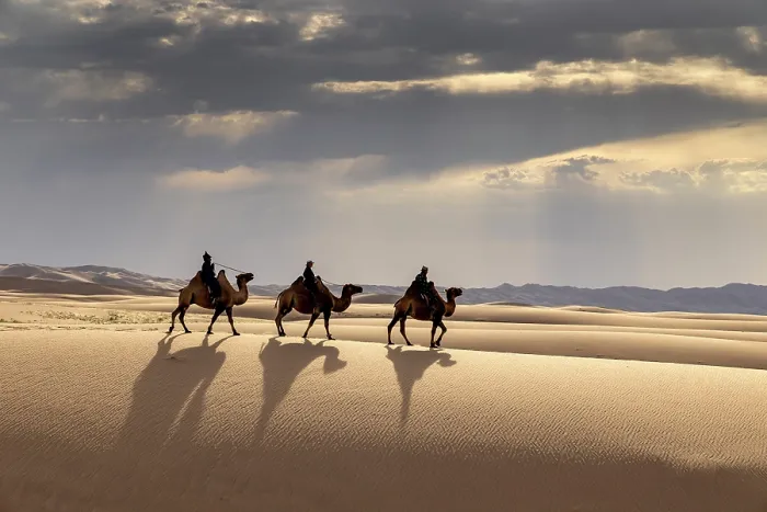 Framed Print : Three camel herders riding their camels in the Khongor Dunes, Gobi Desert, Mongolia, Asia Framed Print : Three camel herders riding their camels in the Khongor Dunes, Gobi Desert, Mongolia, Asia