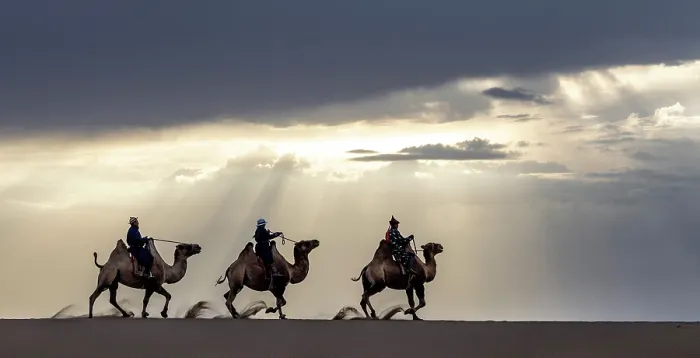 Framed Print : Three camel herders riding their camels in the Khongor Dunes, Gobi Desert, Mongolia, Asia Framed Print : Three camel herders riding their camels in the Khongor Dunes, Gobi Desert, Mongolia, Asia