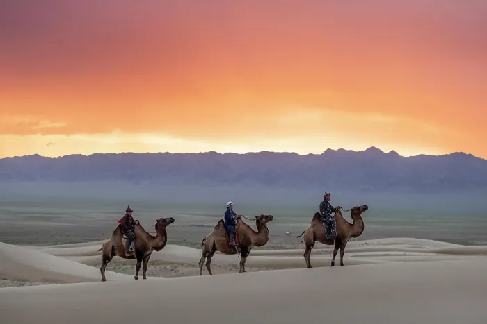 Framed Print : Three camel herders riding their camels in the Khongor Dunes at sunrise, Gobi Desert, Mongolia, Asia