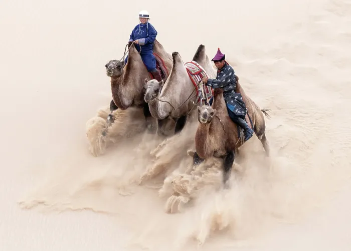 Framed Print : Two camel herders riding their camels down a sand dune, Khongor Dunes, Gobi Desert, Mongolia, Asia