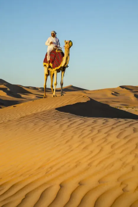 Framed Print : Camel in the Empty Quarter (Rub Al Khali), Abu Dhabi, United Arab Emirates (MR) Framed Print : Camel in the Empty Quarter (Rub Al Khali), Abu Dhabi, United Arab Emirates (MR)
