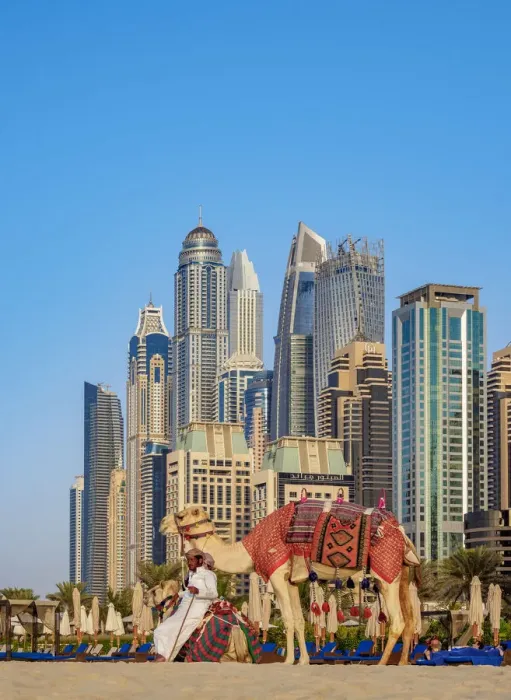 Framed Print : Camel Ride on the Dubai Marina JBR Beach, Dubai, United Arab Emirates Framed Print : Camel Ride on the Dubai Marina JBR Beach, Dubai, United Arab Emirates