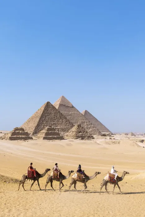 Framed Print : Camel train at the Pyramids of Giza, Giza, Cairo, Egypt Framed Print : Camel train at the Pyramids of Giza, Giza, Cairo, Egypt