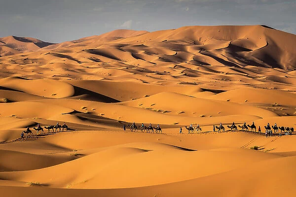 Camel trains on the Erg Chebbi dunes in the Sahara Desert, Merzouga, Morocco