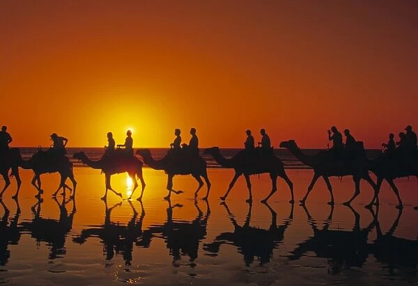 Camel Trekking, Cable Beach, Broome, The Kimberley, Australia