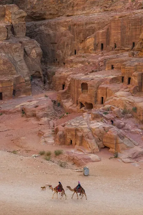 Framed Print : Camels outside the Outer Siq, Petra, Jordan Framed Print : Camels outside the Outer Siq, Petra, Jordan