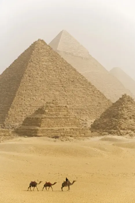 Framed Print : Camels pass in front of the pyramids at Giza Framed Print : Camels pass in front of the pyramids at Giza