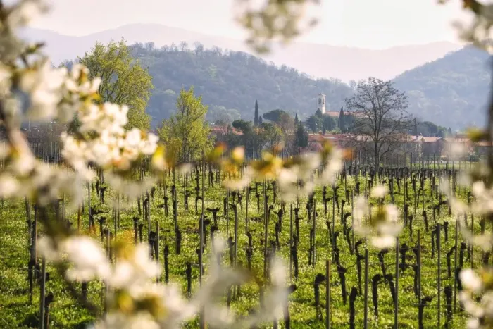 Framed Print : Camignone, Franciacorta, Brescia province, Italy, Europe Framed Print : Camignone, Franciacorta, Brescia province, Italy, Europe