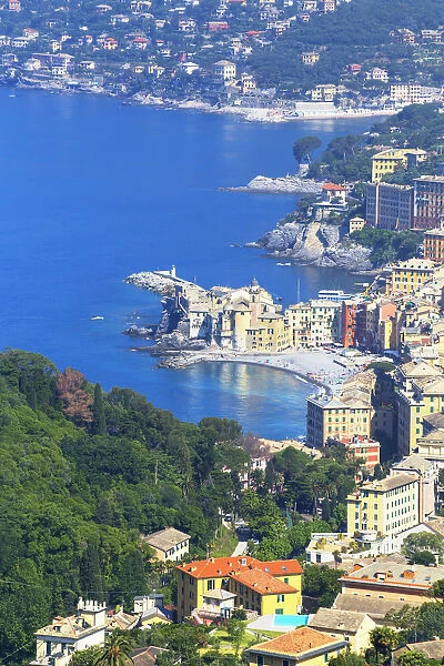 Camogli fishiing village and Gulf of Paradise, elevated view, Camogli, Liguria, Italy