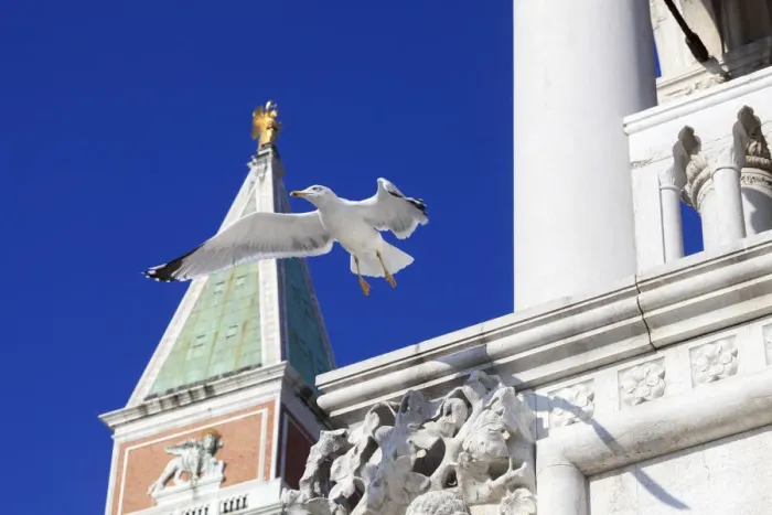 Framed Print : The Campanile (Bell Tower) and carving on corner of Doges Palace, Venice, Veneto