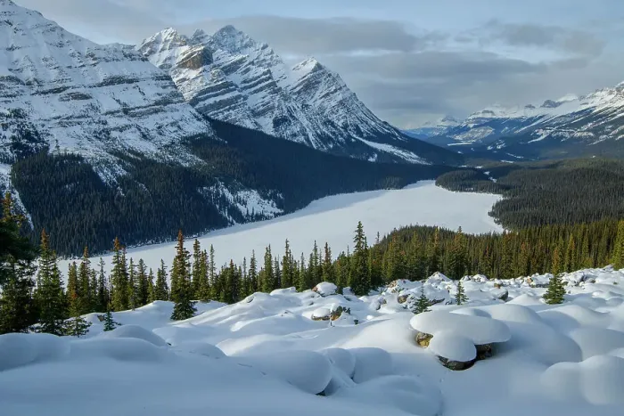 Framed Print : Canada, Alberta, Rocky Mountains, Banff National Park, Peyto lake in winter Framed Print : Canada, Alberta, Rocky Mountains, Banff National Park, Peyto lake in winter