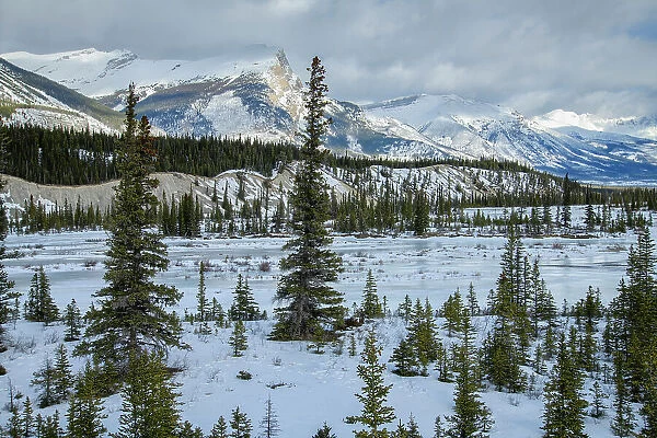 Canada, Alberta, Rocky Mountains, Banff National Park, Saskatchewan river, Icefield parkway