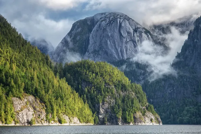 Framed Print : Canada, British Columbia, Central, Coast, Great Bear Rain Forest, Fiordland Conservancy Framed Print : Canada, British Columbia, Central, Coast, Great Bear Rain Forest, Fiordland Conservancy