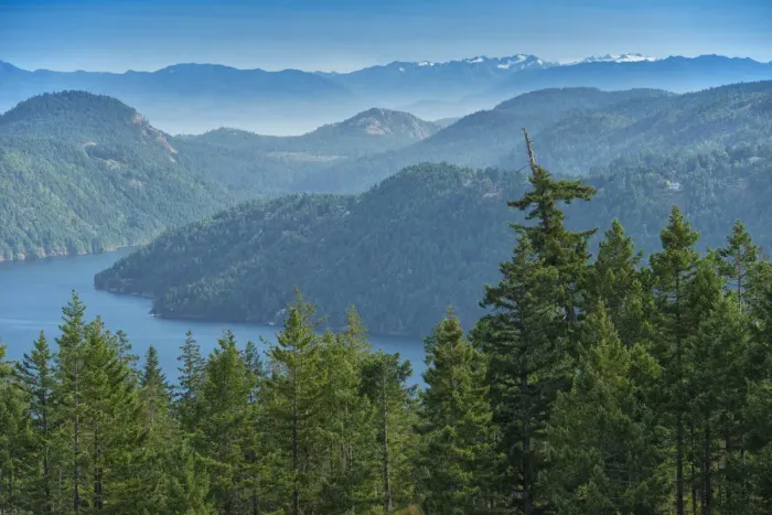 Framed Print : Canada, British Columbia Vancouver Island, Malahat, Finlayson Arm, Olympic Mountains Framed Print : Canada, British Columbia Vancouver Island, Malahat, Finlayson Arm, Olympic Mountains