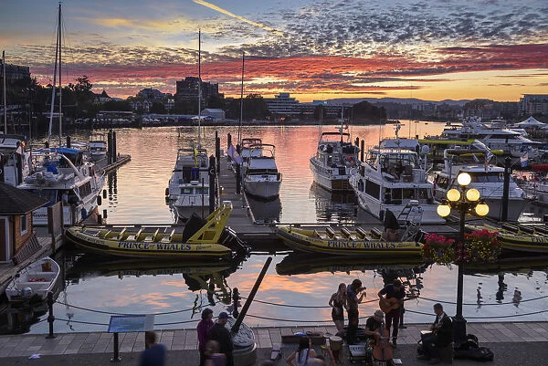 Canada, British Columbia, Vancouver Island, Victoria, harbor at sunset