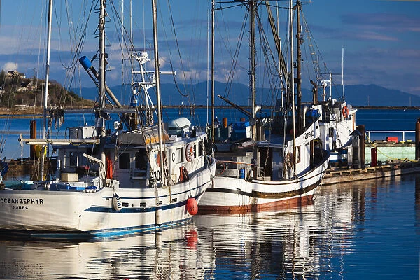 Canada, British Columbia, Vancouver Island, Comox, Comox Harbour, fishing boats