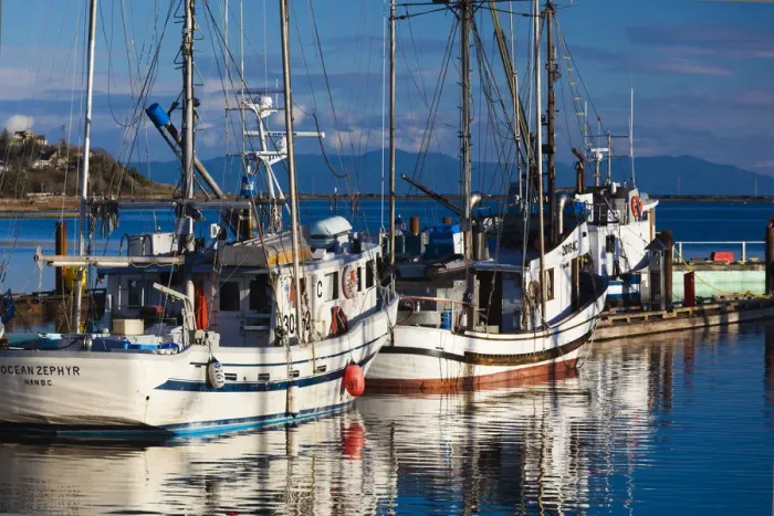 Framed Print : Canada, British Columbia, Vancouver Island, Comox, Comox Harbour, fishing boats Framed Print : Canada, British Columbia, Vancouver Island, Comox, Comox Harbour, fishing boats