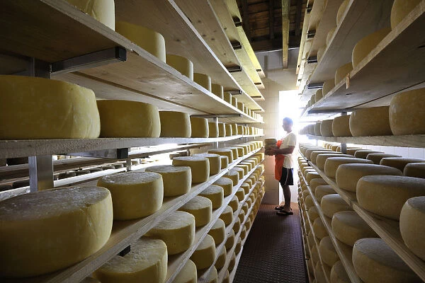 Canada, manufacturing house of the famous Sao Jorge traditional cheese, Santo Amaro