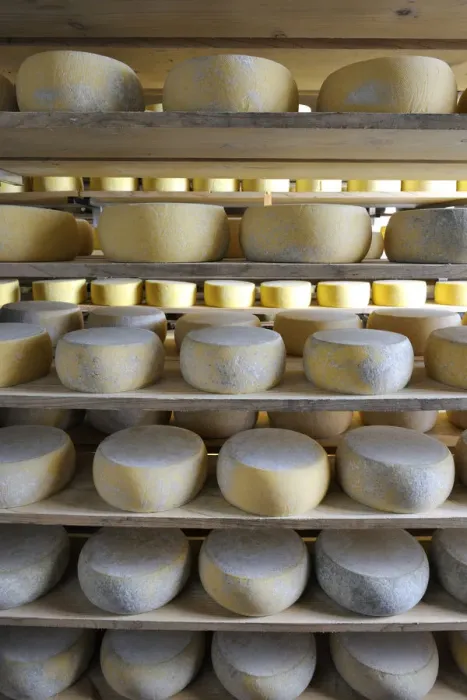 Framed Print : Canada, manufacturing house of the famous Sao Jorge traditional cheese, Santo Amaro Framed Print : Canada, manufacturing house of the famous Sao Jorge traditional cheese, Santo Amaro