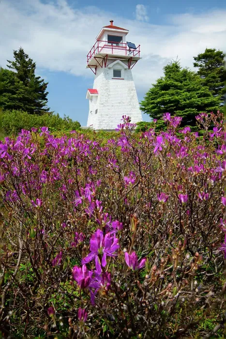 Framed Print : Canada, Maritimes, Newfoundland, Gulf of St. Lawrence, Bonne Bay, Woody Point Lighthouse