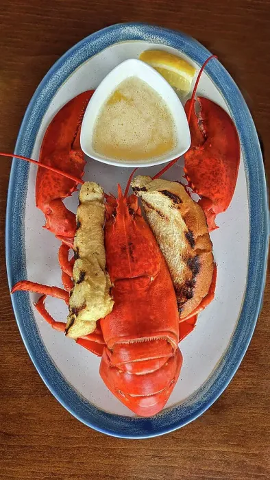 Framed Print : Canada, Maritimes, Newfoundland, Lobster dinner Framed Print : Canada, Maritimes, Newfoundland, Lobster dinner