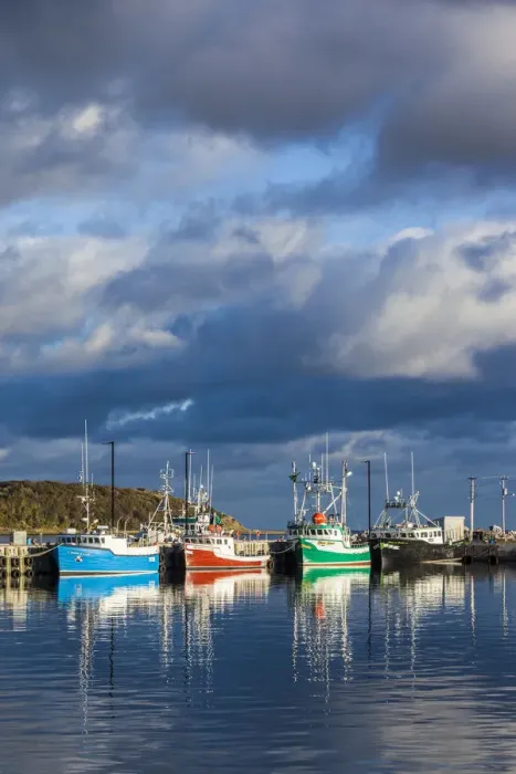 Framed Print : Canada, Nova Scotia, Cabot Trail, Cheticamp, town harbor with fishing boats, dawn Framed Print : Canada, Nova Scotia, Cabot Trail, Cheticamp, town harbor with fishing boats, dawn