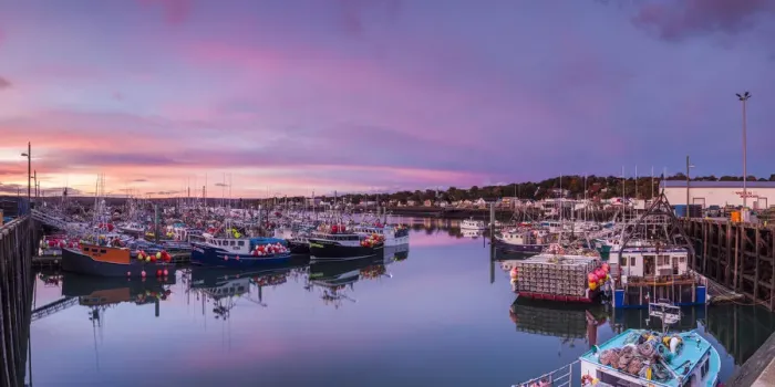 Framed Print : Canada, Nova Scotia, Digby, port area, worlds largest scallop boat fleet, dawn Framed Print : Canada, Nova Scotia, Digby, port area, worlds largest scallop boat fleet, dawn