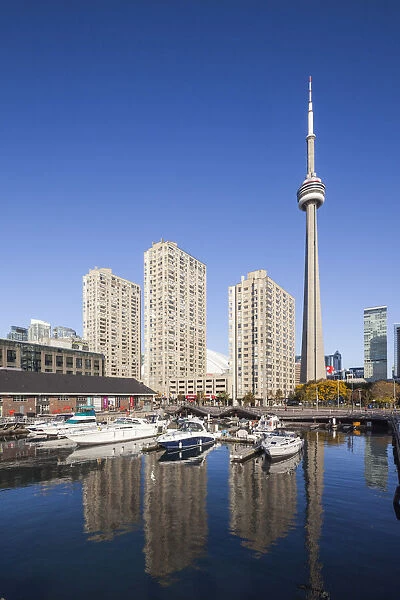 Canada, Ontario, Toronto, Harbourfront, CN Tower, morning
