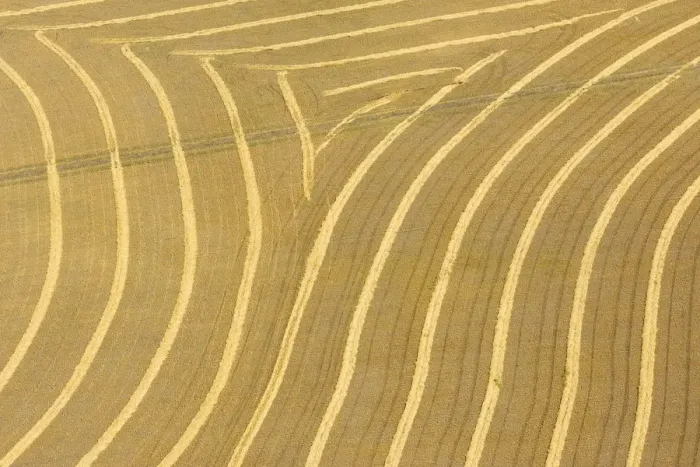 Framed Print : Canada. Patterns in the rows of crop on the prairie shot from an airplane Framed Print : Canada. Patterns in the rows of crop on the prairie shot from an airplane
